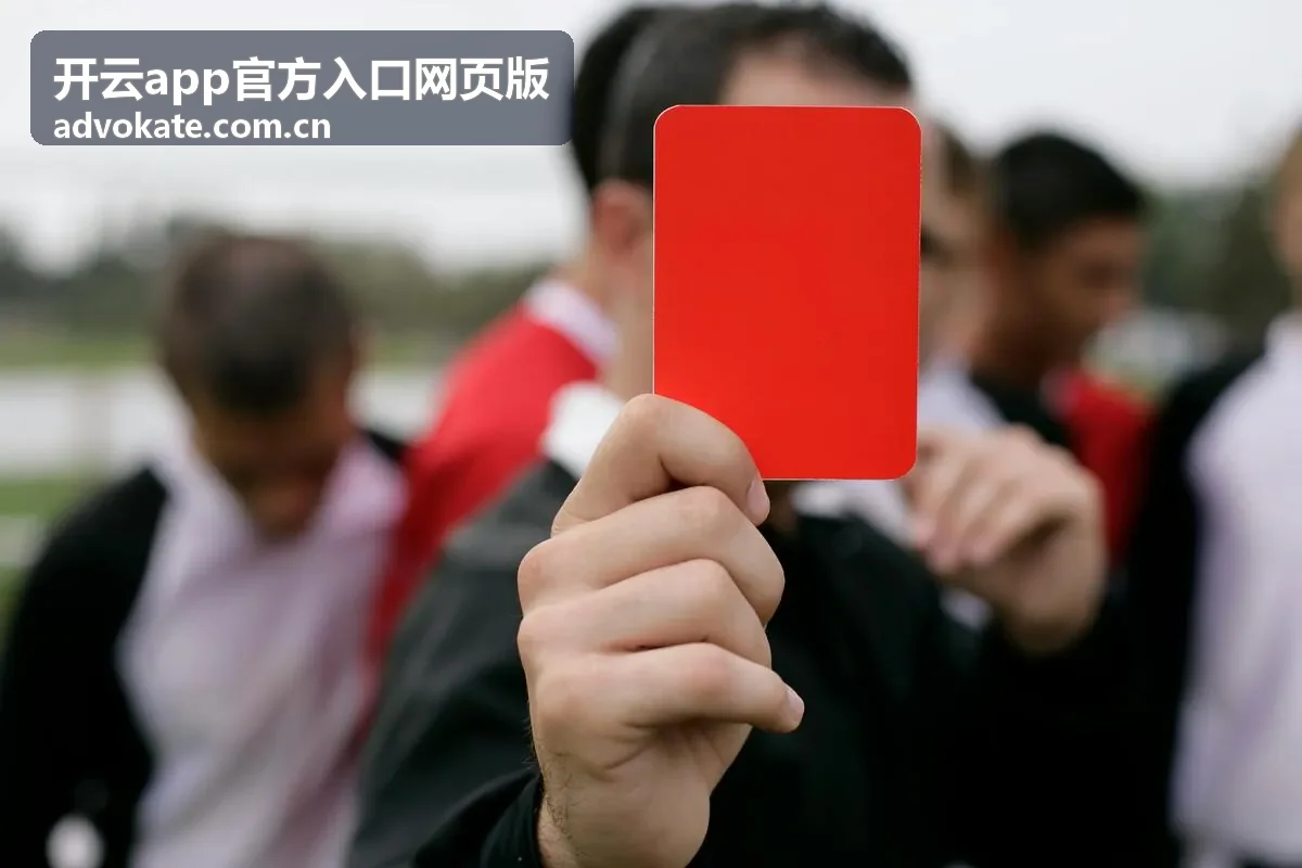 开云app官方入口网页版使用场景示意